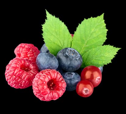 FRUTOS ROJOS